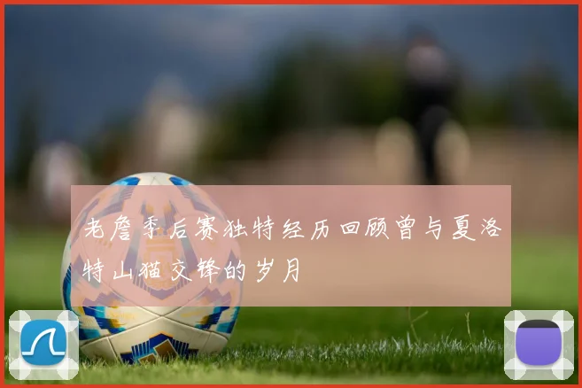 老詹季后赛独特经历回顾曾与夏洛特山猫交锋的岁月