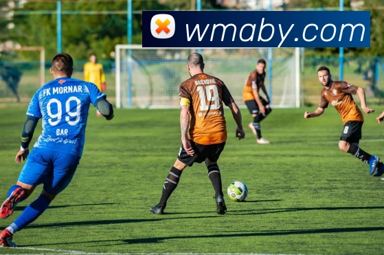 数据防护可视化